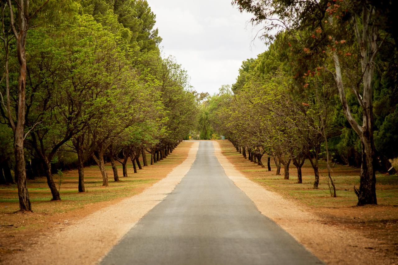 Renmark Country Club Extérieur photo
