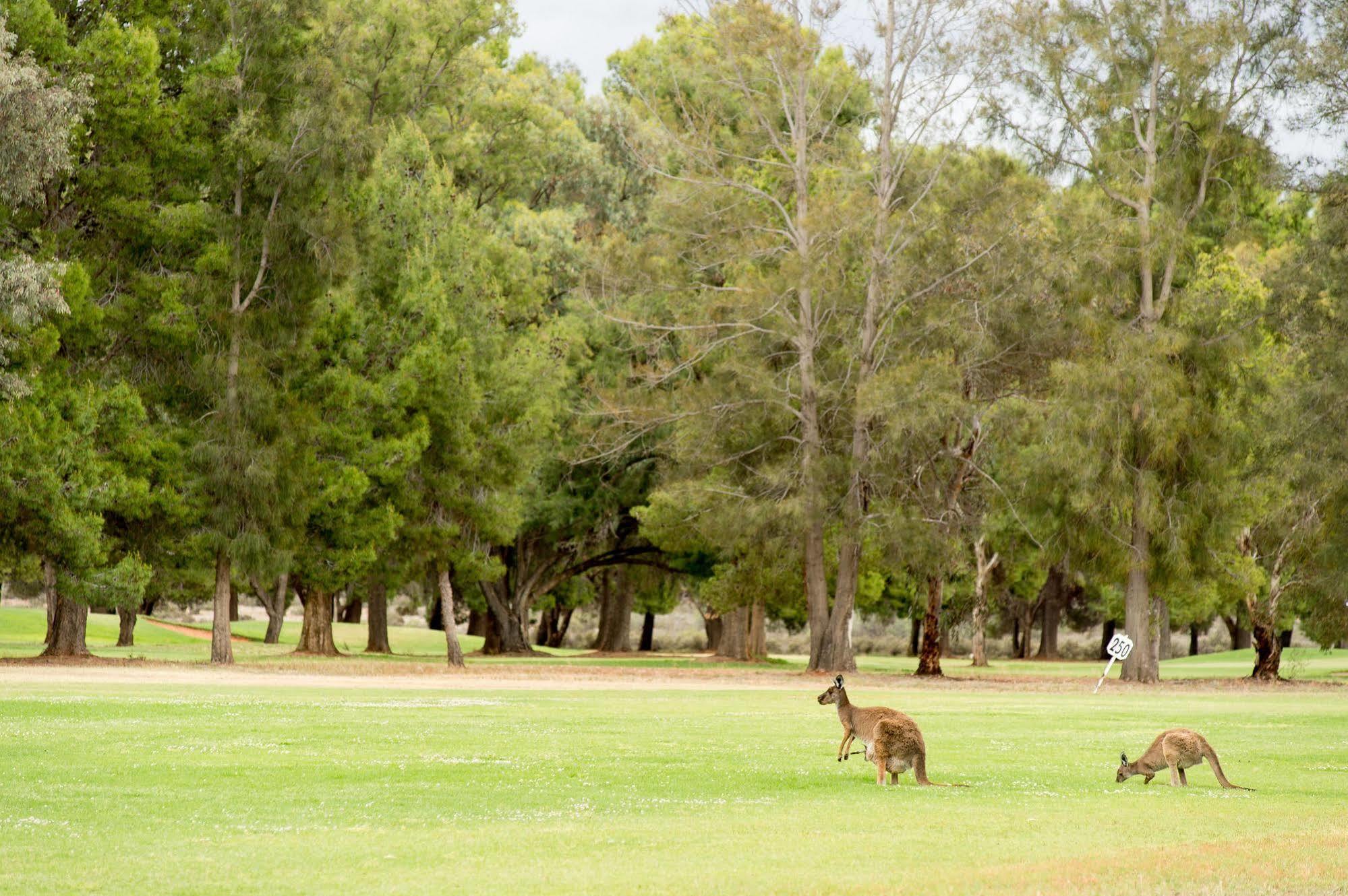 Renmark Country Club Extérieur photo
