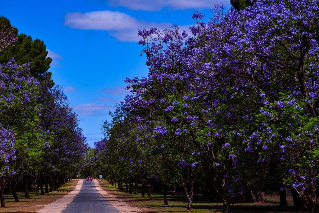 Renmark Country Club Extérieur photo